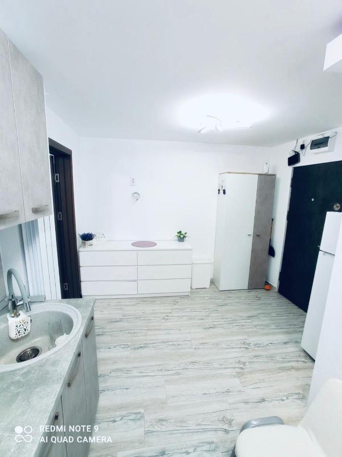 Garsoniera Daniela Apartment Tirgu Ocna