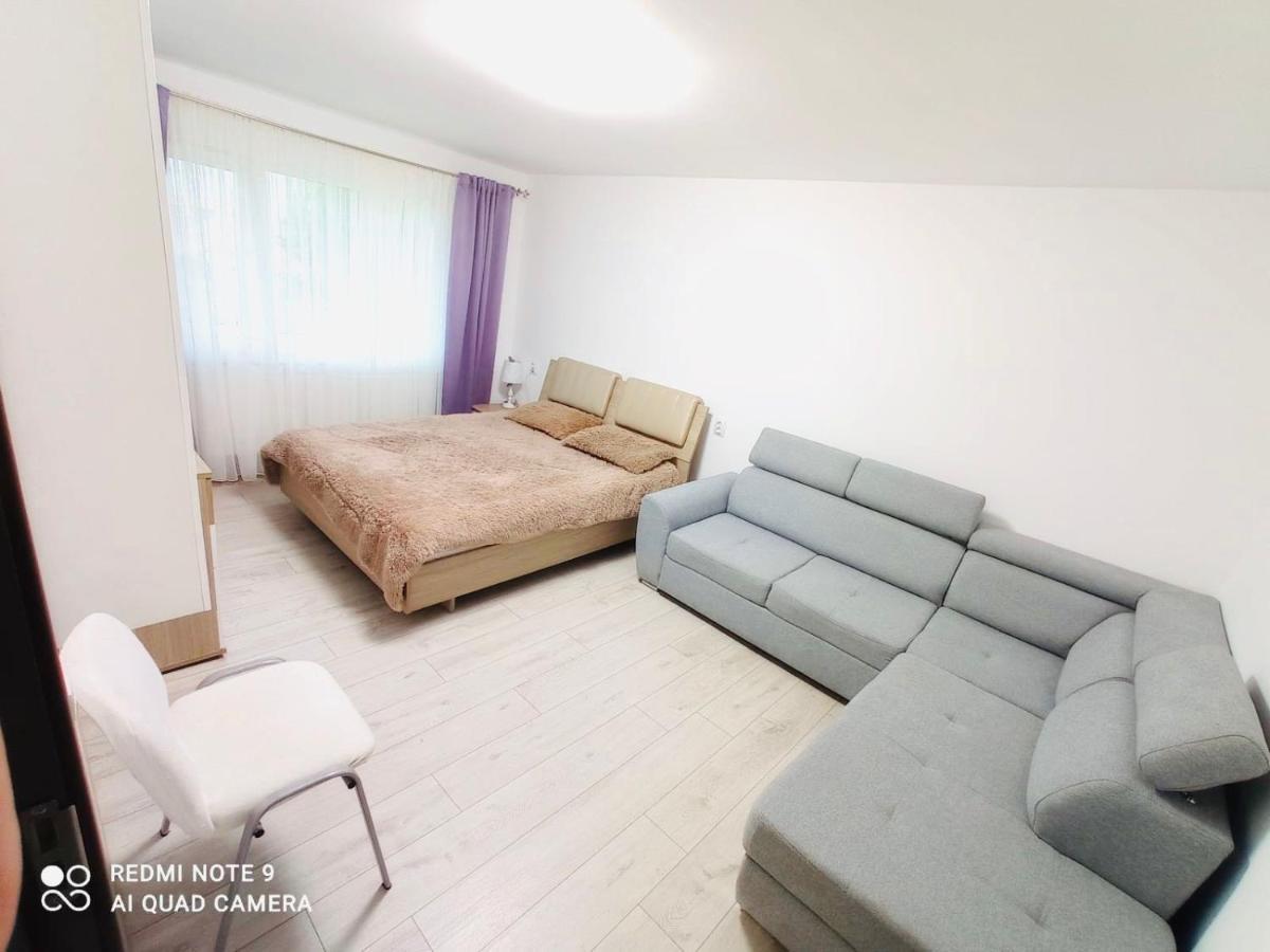Apartment Garsoniera Daniela *